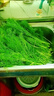 茗君鲜顺丰包邮山东茴香菜新鲜茴香苗现摘头茬荤香嫩叶小茴香饺子馅蔬菜 茴香1斤（顺丰/京东包邮） 实拍图