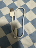圣希顿适用苹果充电器USB5w充电头iPhone5s6/7/8p快充头xrxsmax闪充头14/13/12/11通用头数据线快充线 【0.25米苹果充电线】 实拍图