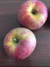 鲜其云南昭通野生丑苹果2023年现摘冰糖心苹果脆甜多汁孕妇新鲜水果 80mm(含)-85mm(不含) 5斤 实拍图