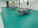 欧百娜羽毛球地胶室内乒乓球场防滑地垫PVC塑胶运动地板羽毛球场地胶垫 冰晶砂plus4.5mm/1平方 实拍图