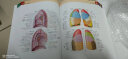奈特人体解剖学彩色图谱第8版第八版翻译新版临床医学外科学教材书局部系统解刨学书籍19全身正常医学实用动态局解全彩图谱2023 实拍图
