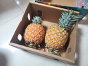 沐瑾正宗海南芒果凤梨菠萝台农23号金芒凤梨当季现发孕妇新鲜水果整箱 2.5斤-3斤丨小果丨2-3个丨含箱 实拍图
