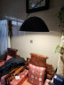 杜君钓鱼灯落地灯客厅沙发边简约现代意式极简轻奢设计感立式地灯 实拍图