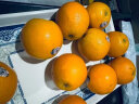 树上捞美国新奇士3107黑标橙子 当季澳洲甜脐橙大果新鲜水果礼盒 5斤带箱精品单果200g+/性价比高 晒单实拍图