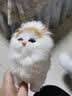 元氣小猴 仿真动物模型小猫咪儿童动物毛绒玩具会叫的猫玩偶仿真猫咪公仔圣诞节 真毛黄耳-礼盒礼袋+灯+发卡+铃铛 实拍图