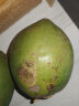 甘果有约椰子 海南椰青带皮青椰子新鲜椰子鸡补羊水椰子椰青孕妇水果 4个精品带皮 实拍图