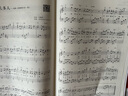拿起就会 流行歌曲超精选五线谱 流行歌曲钢琴谱 流行音乐钢琴曲集 流行钢琴曲谱钢琴书 影视民谣歌曲 初学者钢琴乐谱书 实拍图