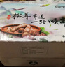 高原云品【不开帽】松茸新鲜  顺丰速达 香格里拉野生菌 送礼品袋 【甄选不开帽】8-10CM 净重500克 实拍图