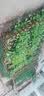 安瑾围栏栅栏草坪防护栏菜地篱笆地上户外隔离栏防腐木花园绿化小栏杆 60cm高1米长（颜色碳化色） 实拍图