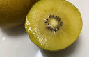 佳沛（zespri）新西兰阳光金奇异果30-33粒原箱单果重约103-124g水果猕猴桃 实拍图