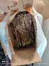 新韭菜根红葱头盆栽 韭菜苗 葱苗  紫根韭菜  红根 宽叶韭菜根 香韭 蔬菜苗 韭菜根100颗 实拍图