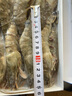 品鲜猫 越南活冻黑虎虾（大号） 海鲜大虾家庭聚餐烧烤大虾海鲜水产 850g/15只 实拍图