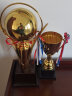 英友（ENYOU）金属奖杯定制篮球足球体育比赛年会颁奖学生儿童奖杯 球形大号 实拍图