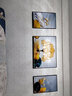 Sixpoetry 客厅装饰画现代简约沙发背景墙壁画轻奢三联晶瓷画大气高档挂画 福禄相伴（铝合金外框） 晶瓷画左右40*60+中间80*60亮面 实拍图