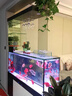 新概念（NEW CONCEPT AQUARIUM）客厅家用生态玻璃大鱼缸带柜子一体缸自循环免换水智能底滤水族箱 1.2米免清洗智能 晒单实拍图