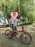 大行（DAHON）折叠自行车20寸8速男女折叠车P8青春版KAC081 消光红 晒单实拍图