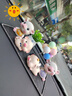 齐选汽车饰品摆件个性摇头小猪车载车内可爱创意中控台公仔车上装饰品 一家四口+吉祥果+彩气球大号钻垫 实拍图