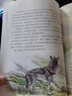 沈石溪画本新版：狼王梦、斑羚飞渡、第七条猎狗、最后一头战象等动物小说大王经典作品合辑（套装共6册） 实拍图
