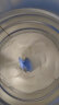 合生元（BIOSTIME）派星 幼儿配方奶粉 3段(12-36个月)  800克*2罐 新老国标随机发货 实拍图