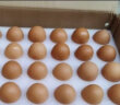 德青源 安全鲜鸡蛋30枚1.29kg 自有农场 无抗生素 健康轻食 营养早餐 礼盒装 实拍图