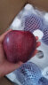 王掌柜甘肃天水花牛苹果 净重4.5斤单果160g+ 生鲜水果 源头直发 晒单实拍图