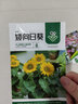 美外 花草花卉种子 室外花种籽子四季播种开花盆栽庭院花种子 矮向日葵【1包约50粒】 实拍图