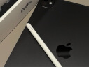 Apple/苹果 iPad Pro13英寸M4芯片 2024年新款平板电脑(512G WLAN版/MVX43CH/A)深空黑色 晒单实拍图