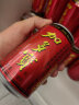 加多宝凉茶植物饮料 茶饮料 310ml*15罐（新老包装随机发货） 实拍图