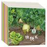 和自然一起长大，我的植物朋友（套装共10册） 实拍图