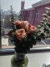 京东鲜花母亲节混搭小花束家庭生活插花10支玫瑰5支康乃馨10支尤加利叶 实拍图