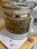 养益君 2.0乌梅汤360g（30小袋）乌梅山楂甘草荷叶丹参乌梅汤 浙江省同款中医院乌梅荷叶饮2.0酸梅汤搭中药材 实拍图