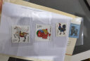 【北方辰睿】1981至1991一轮生肖邮票套票系列 1981年鸡生肖单枚邮票 实拍图