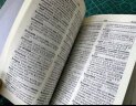 牛津英汉双解小词典（第10版） 实拍图