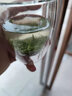 豫礼2026年新茶信阳毛尖茶叶礼盒装 明前特级嫩芽 绿茶春茶半斤装 黄色商务礼盒250g 实拍图