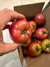 京鲜生 山东海阳普罗旺斯净重4.5斤单果180g起礼盒装 新鲜沙瓤 源头直发 实拍图