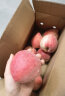 京鲜生 河北春雪桃 脆红桃子1.5kg 单果150g起  生鲜 鲜桃 新鲜水果 实拍图