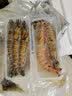 蝶岛船说 鲜活速冻大斑节虾 海捕大虾九节虾 特大竹节虾明虾 年货海鲜 1kg(净重)  【斑节虾王】10-12只  实拍图