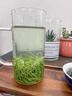 翼品茗芳2026新茶信阳产地毛尖茶叶绿茶浓香型耐泡雨前云雾毛尖茶口粮茶 100g【头子】 实拍图