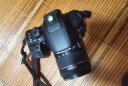 佳能（Canon）EOS 850D 单反相机 单机身 高速连拍 全像素双核 实拍图