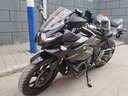 珊艺适用铃木gsx250r保险杠改装后座扶手防摔护杠挡泥板后货架 脚踏升高 实拍图