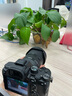 索尼（SONY）ILCE-7M3 a7m3 A73全画幅微单数码相机5轴防抖 单机身+腾龙28-200F2.8-5.6 官方标配 实拍图
