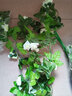 假花藤条阳台空调管 仿真玫瑰花藤拱门塑料花藤蔓绿植物花藤装饰 33头角玫【春款白色】 实拍图