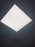 Yeelight易来智能LED面板灯30*30可调色温12w厨卫灯led集成吊顶灯接入米家 30*30智能色温款 实拍图