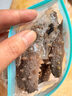 鲜拔头筹 即食海参 大连刺参单个装 深海辽刺参海参礼盒春节送礼鲜食海参 9年7A海参500g【20-30头】 实拍图