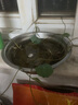 肉总管【四季种植】碗莲种子水培植物室内绿植盆栽彩色睡莲荷花种子花卉 混色碗莲10粒+营养液 实拍图