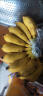 帆儿庄园[商南助农馆]农家自种应季水果新鲜香蕉小米蕉整箱新鲜水果生鲜 2.5kg 晒单实拍图
