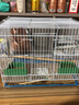 贝尼豆鸟笼 鹦鹉笼大号笼子鸽子笼相思鸟牡丹文鸟鸟别墅八哥鸟笼 40#39x27x30cm鸟笼含站杆食盒 实拍图