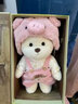 LZJV【礼盒发货】活动关节草莓熊泰迪熊玩偶毛绒玩具女生生日七夕礼物 粉猪套装 【30cm小熊+衣服】 礼盒发货 实拍图