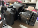 佳能/Canon 600D 700D 750D 760D 800D 850D二手单反相机新手学生入门旅游高清相机 760D+18-135 IS STM 【套机】 99新 实拍图