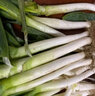 水果蔬菜 新鲜大葱 农家自产 新鲜蔬菜 3斤去皮大葱【净重3斤】 1500g 实拍图